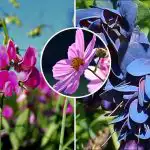 Cosa piantare ad aprile: sette fiori che trasformeranno il vostro