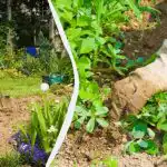 In questo modo il diserbo delle aiuole è due volte