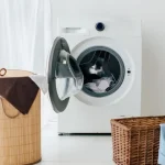la-muffa-nella-lavatrice-non-prende-la-chimica-quale-rimedio.webp.webp