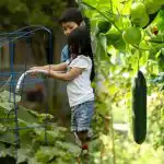 Piccole aiuole - grande raccolto: come utilizzare ogni centimetro di terreno in modo efficiente Piccole aiuole - grande raccolto: come utilizzare ogni centimetro di