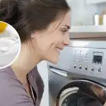 Rimuove calcare, muffa e odori: qto acido citrico mettere in lavatrice Rimuove calcare, muffa e odori: qto acido citrico mettere in