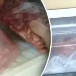 Si scopre che non si può conservare la carne nei